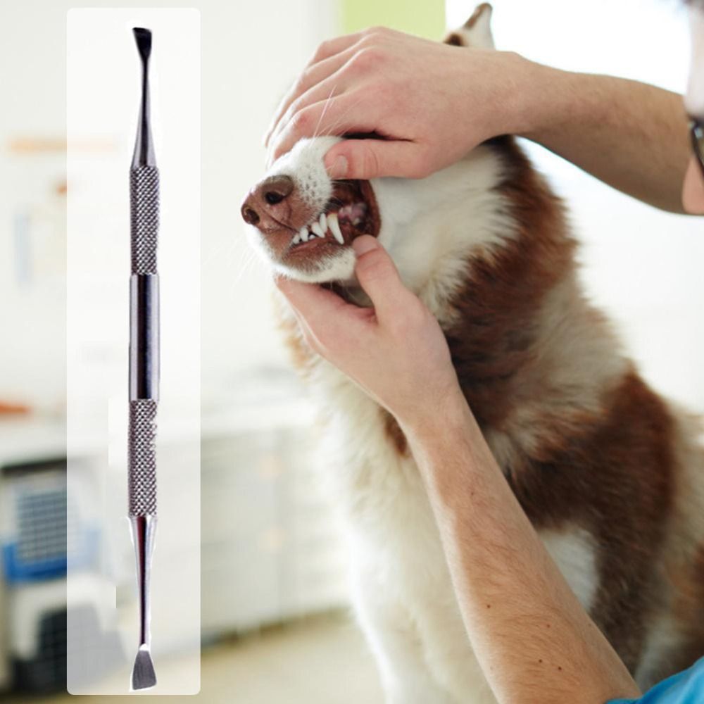 Teeth Whitening Mouthwash - Stainless Steel Dog Teeth Cleaning Tool