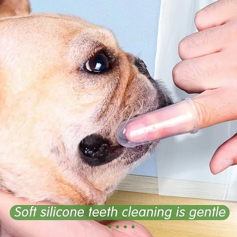 Super Soft Pet Finger Toothbru – Teeth Whitening Mouthwash recenzja i cena
