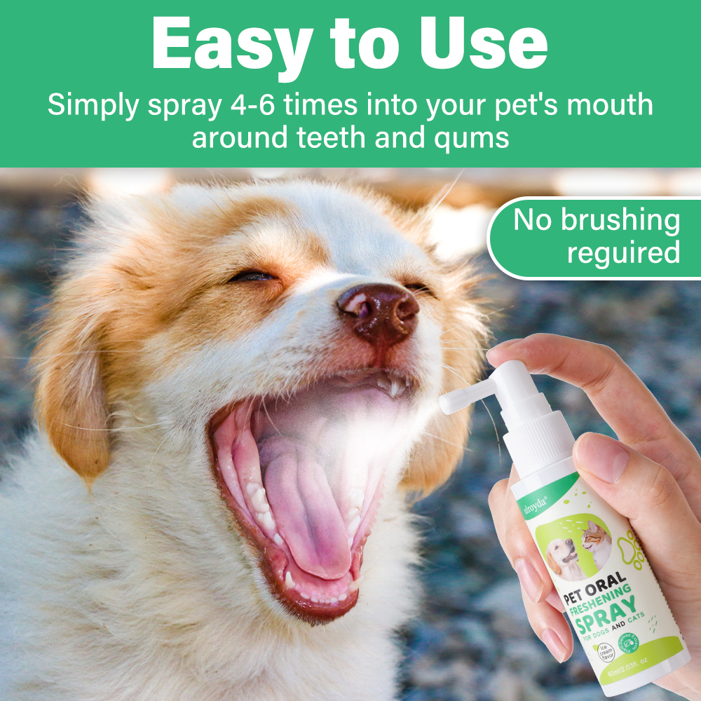 Ulroyda Pet Oral Freshening Sp – Teeth Whitening Mouthwash recenzja i cena