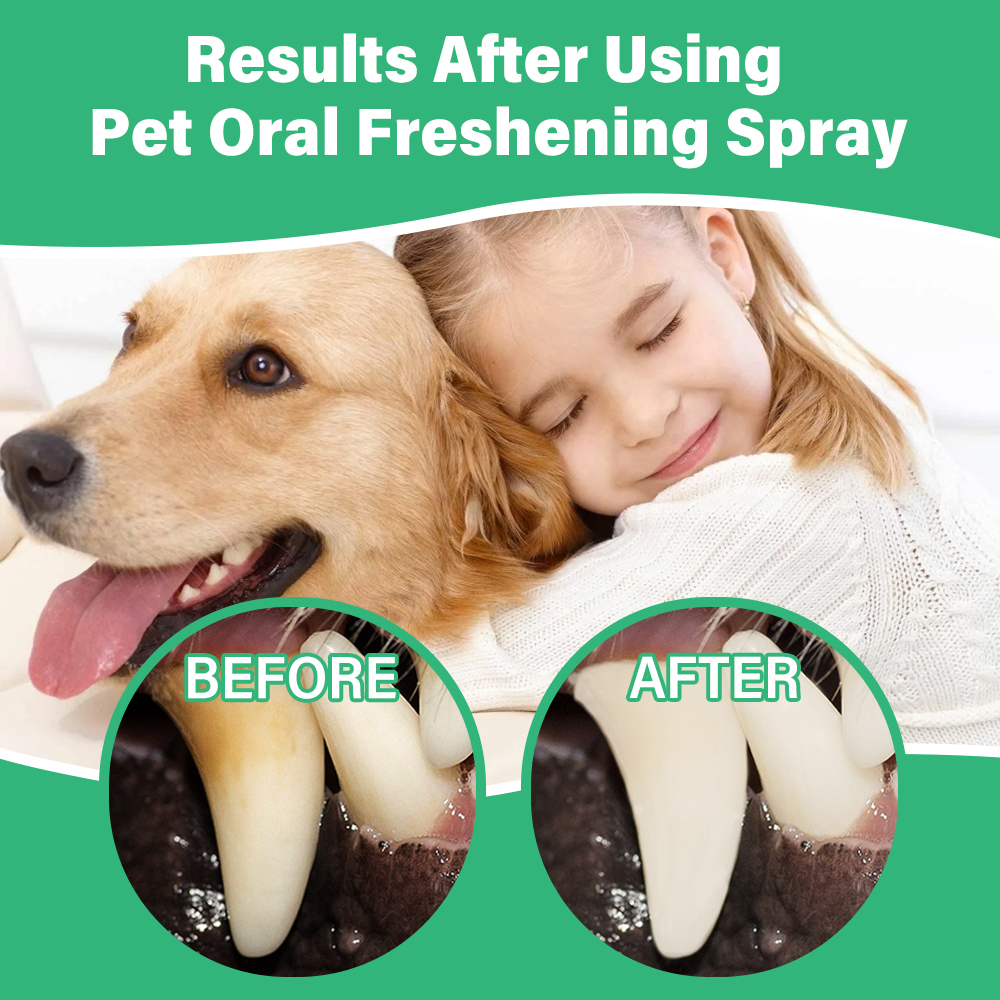 Ulroyda Pet Oral Freshening Sp – Teeth Whitening Mouthwash recenzja i cena