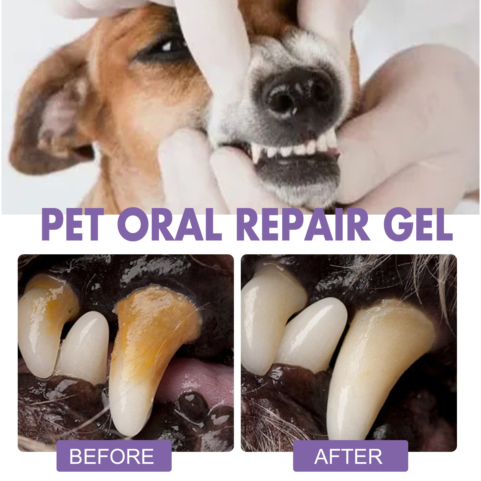 Pet Oral Repair Gel Puppy Tart – Teeth Whitening Mouthwash recenzja i cena