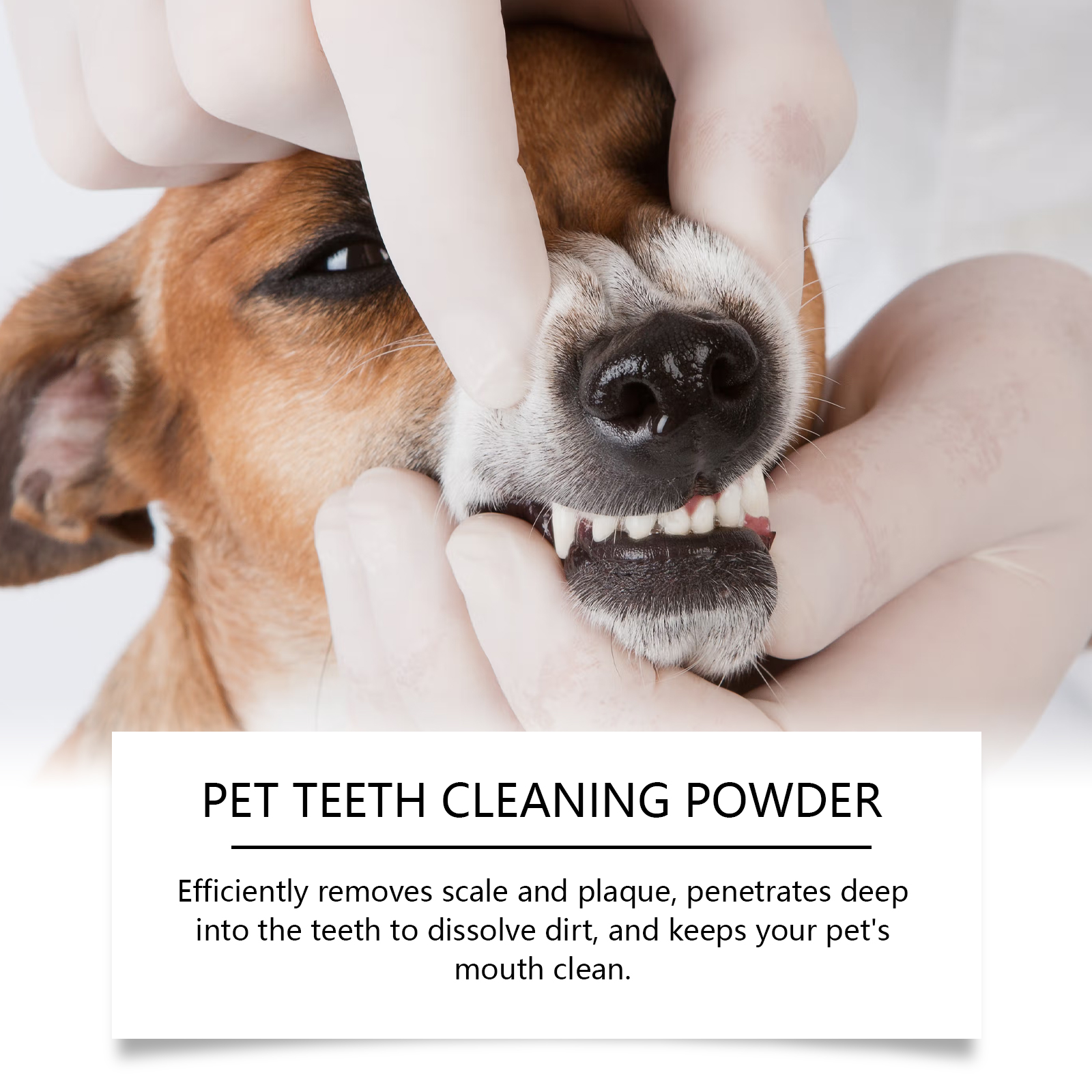 Pet Teeth Cleaning Powder Redu – Teeth Whitening Singapore recenzja i cena
