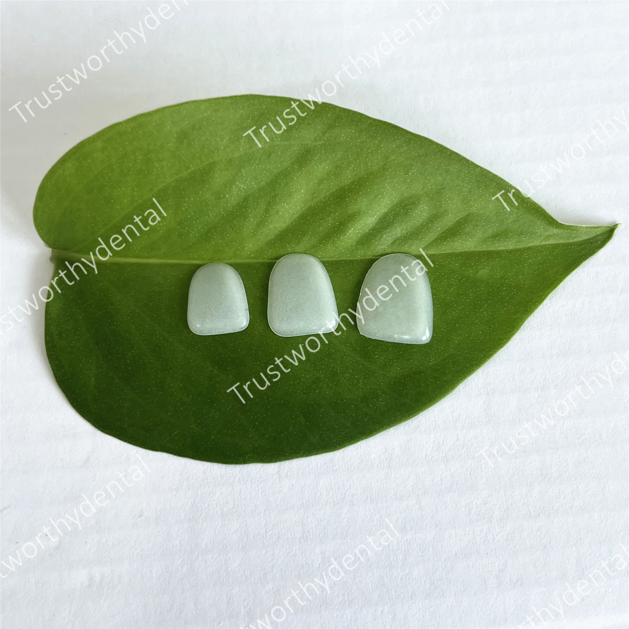 Dental Composite Porcelain Ven – Teeth Paint Whitening recenzja i cena