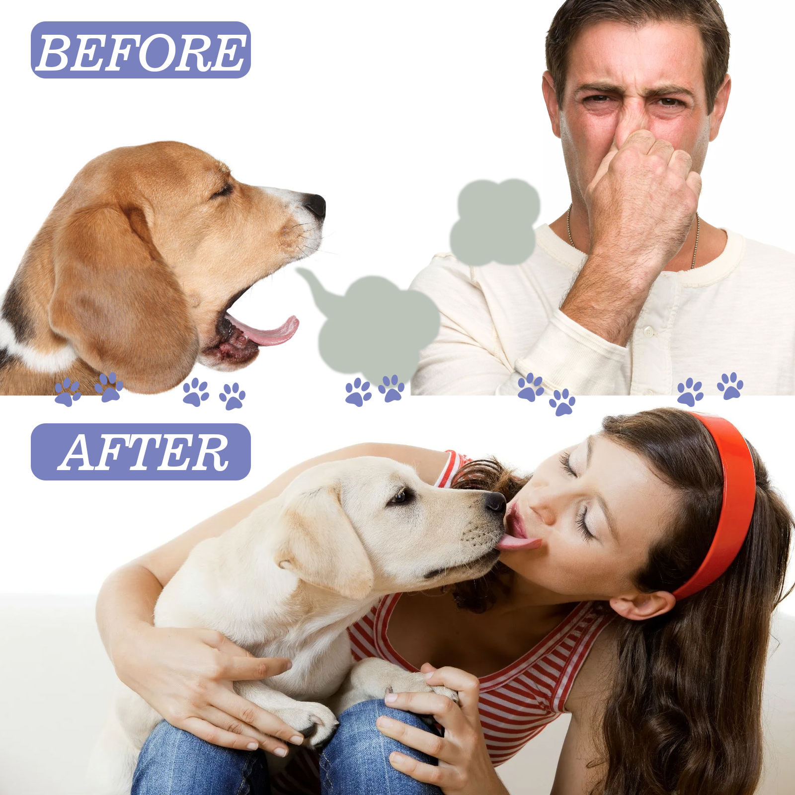 Pet Teeth Cleaning Spray Bad B – Colgate Whitening Teeth recenzja i cena