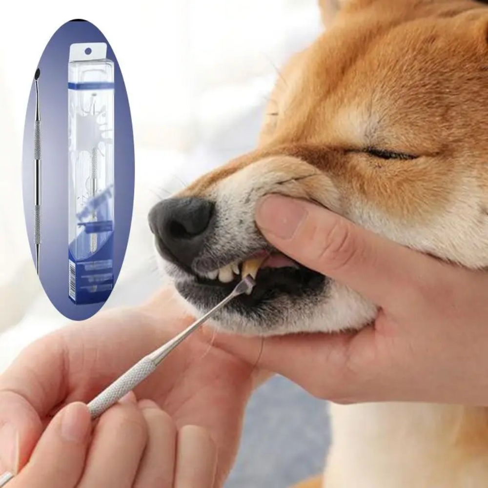 Stainless Steel Dog Teeth Clea – Teeth Whitening Mouthwash recenzja i cena