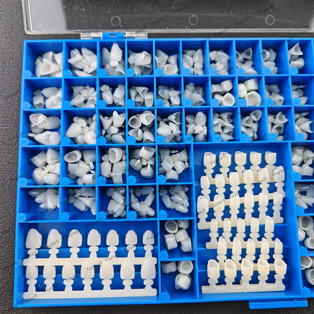 1Set Dental Premolar Molars An – Teeth Whitening Moulds recenzja i cena