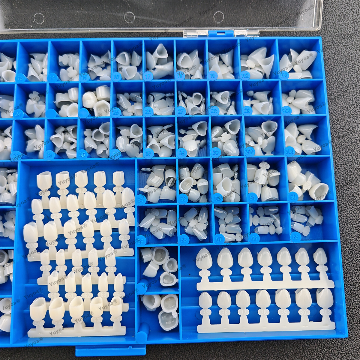 1Set Dental Premolar Molars An – Teeth Whitening Moulds recenzja i cena