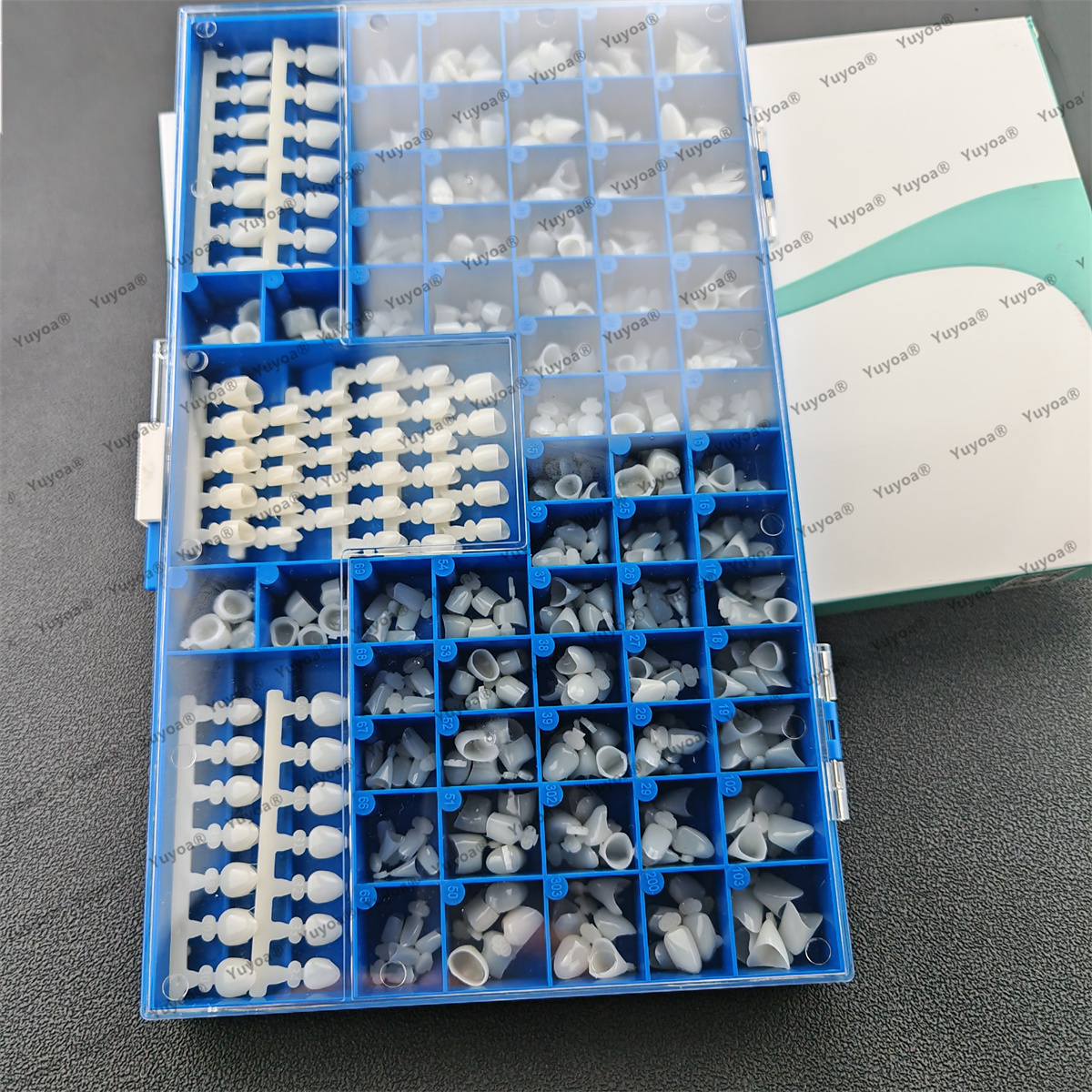 1Set Dental Premolar Molars An – Teeth Whitening Moulds recenzja i cena